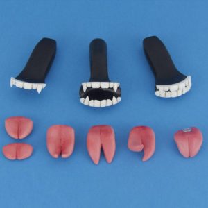 Teeth Inserts – Normal